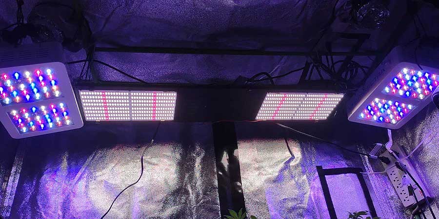Herramientas y equipo para el cultivo de cannabis